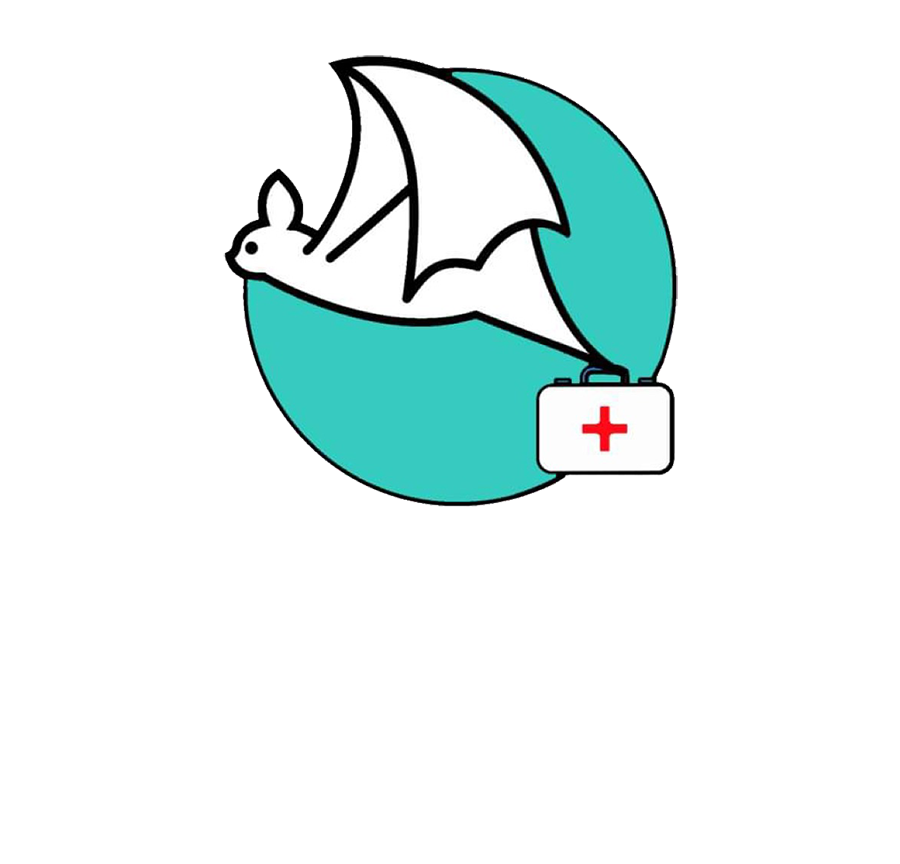 Bat World Italy